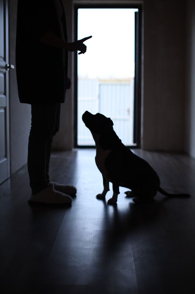 Photograph by Анна Афанасьева