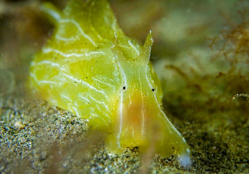 Photograph by Дмитрий Серебряков