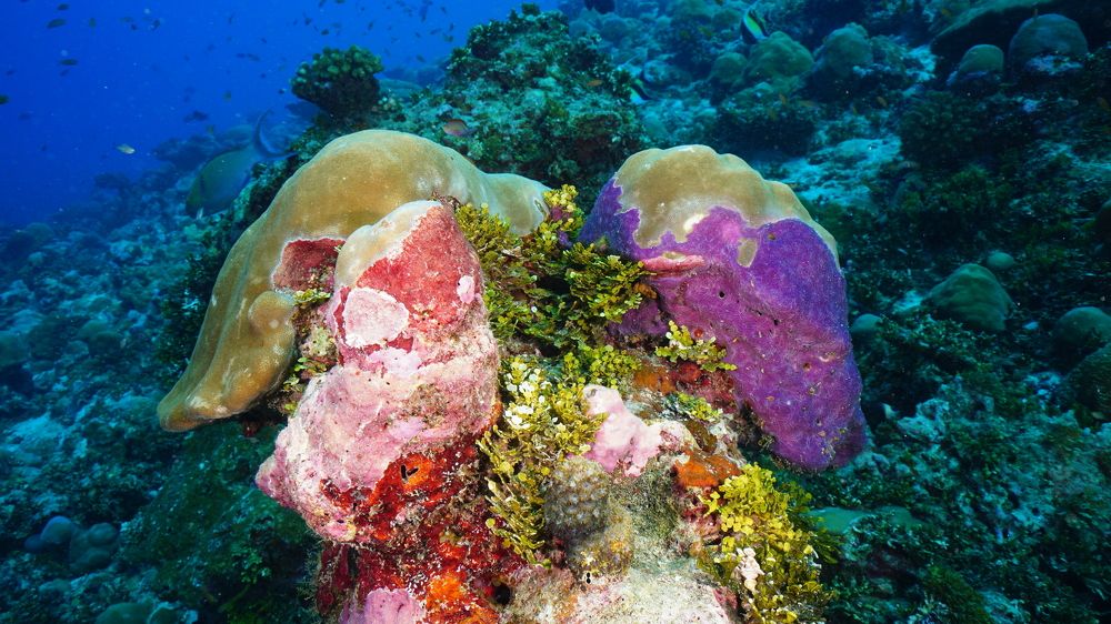 Photograph by Дмитрий Серебряков