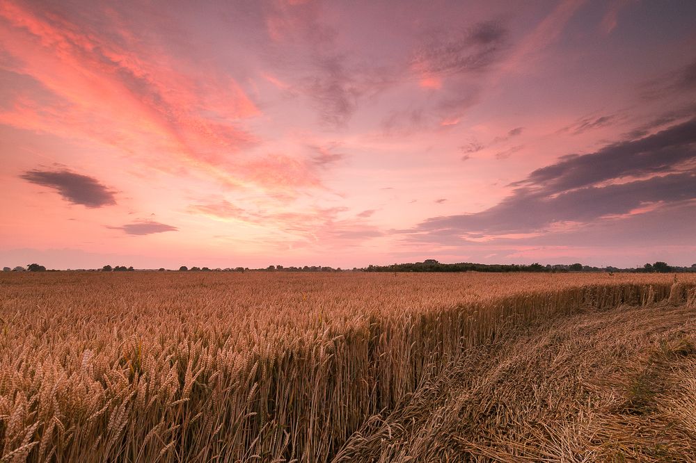 Photograph by Даниел Чобанов