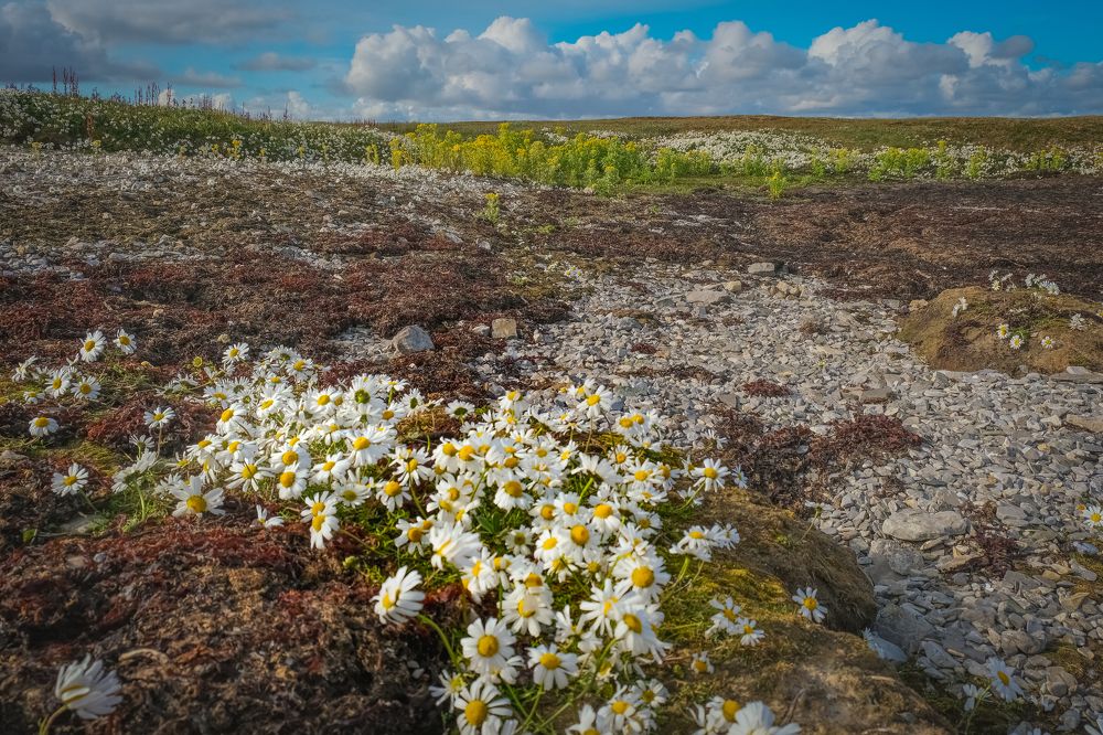 Photograph by Марина Шумакова