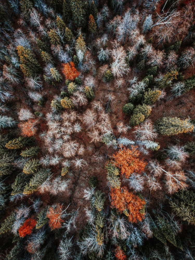 Photograph by Алина Сулейманова