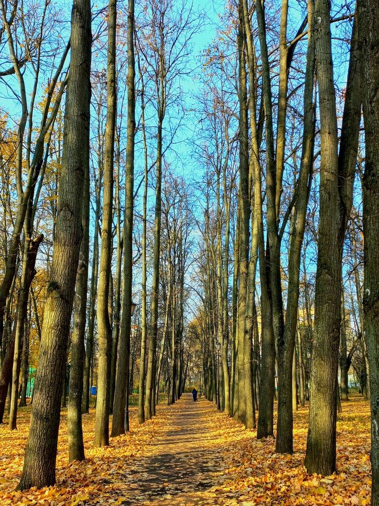 Photograph by Зоя