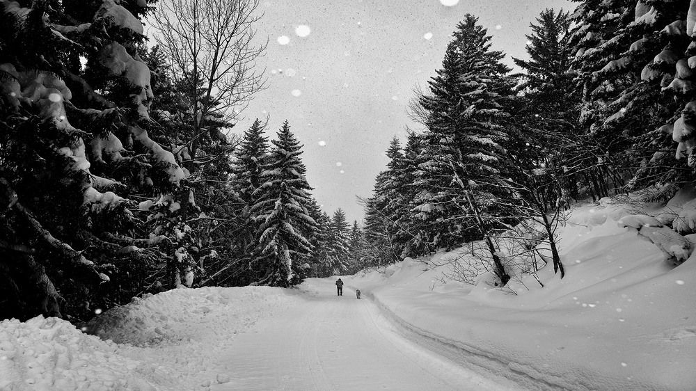 Photograph by Bekir Yesiltas