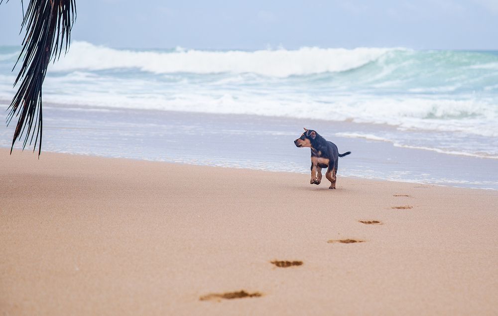 Фотография автора Sasindu Pramuditha