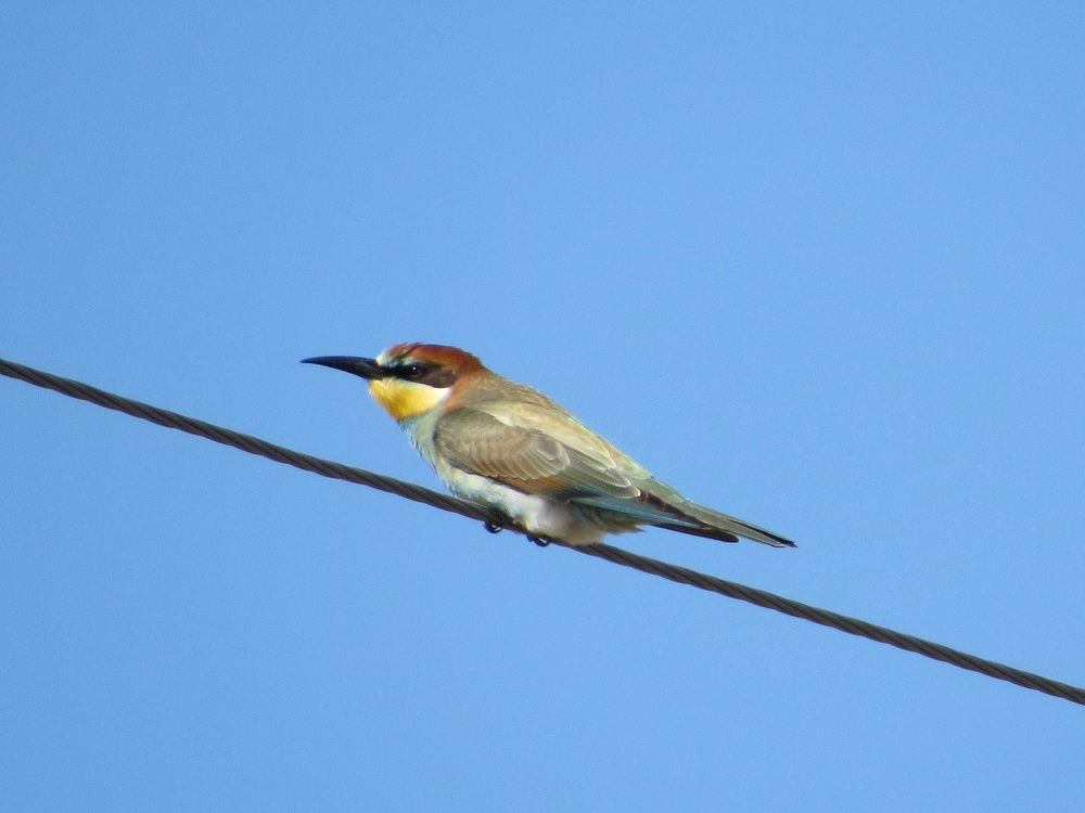 Photograph by Денис Веску