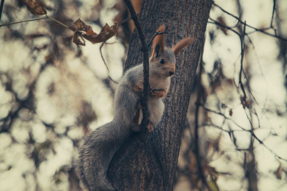 Photograph by Юлия Лушникова