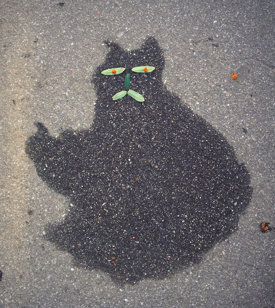 Photograph by ПОЛУЕВ ИЛЬЯ