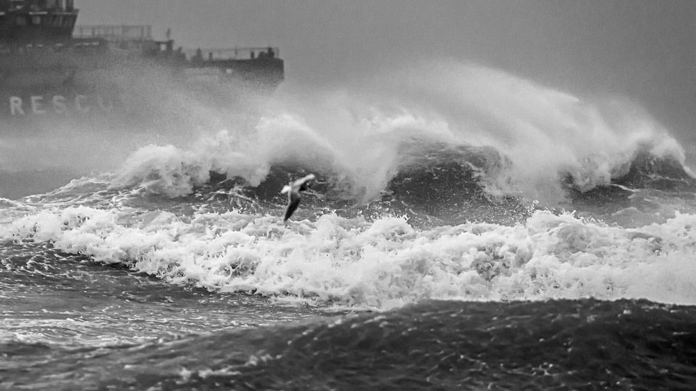 Photograph by Igor Zolotarev