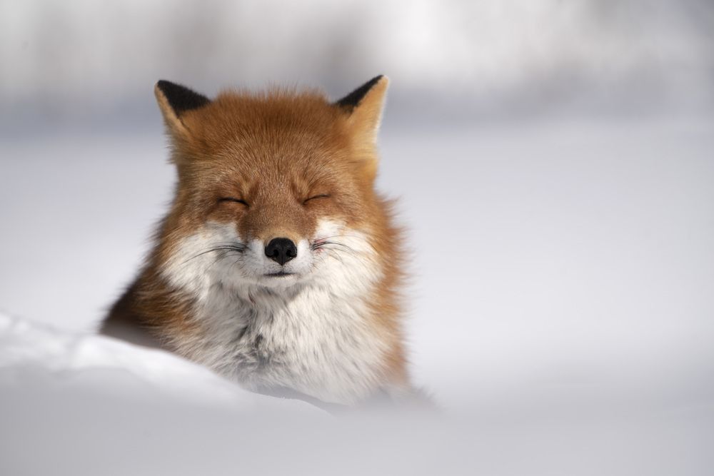 Три, четыре, пять, я иду тебя искать...