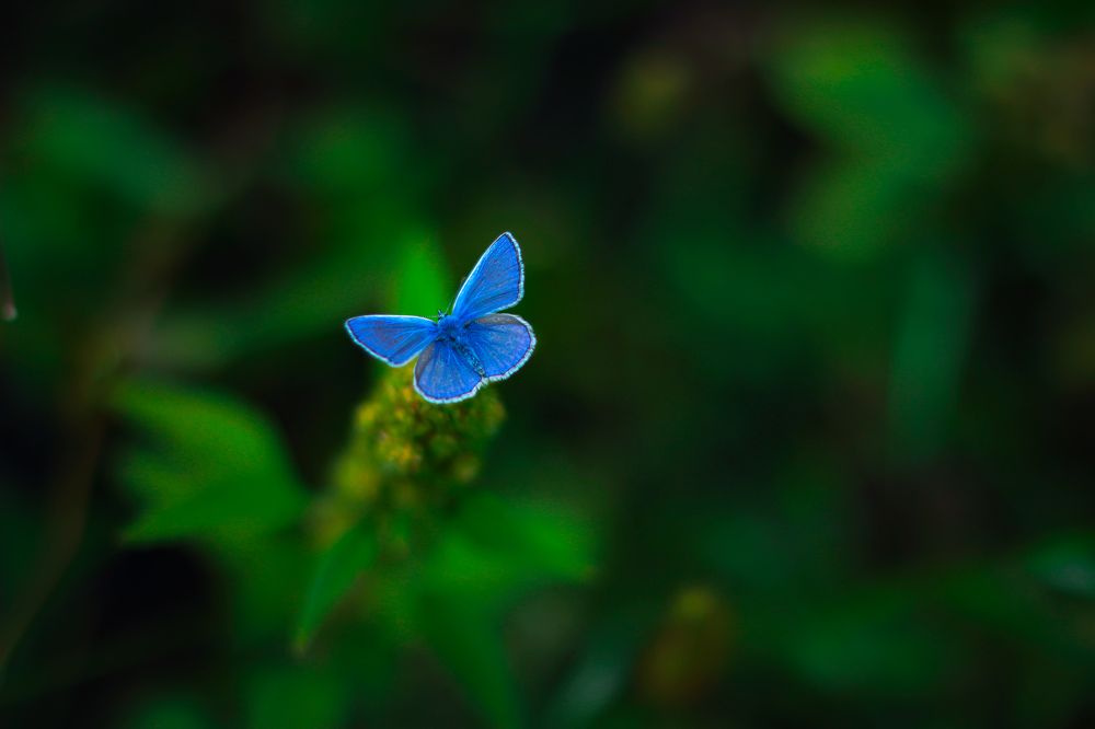 Photograph by Ксения Харитова