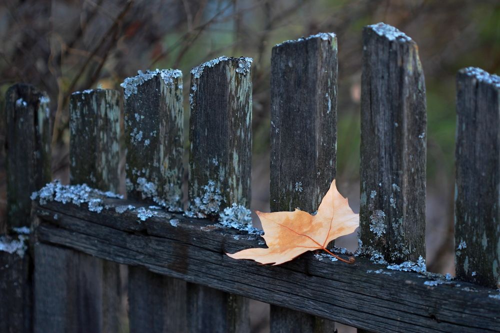 Photograph by Наталья Казанцева