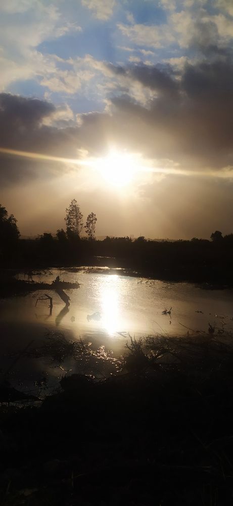 Sunset in the hoping year