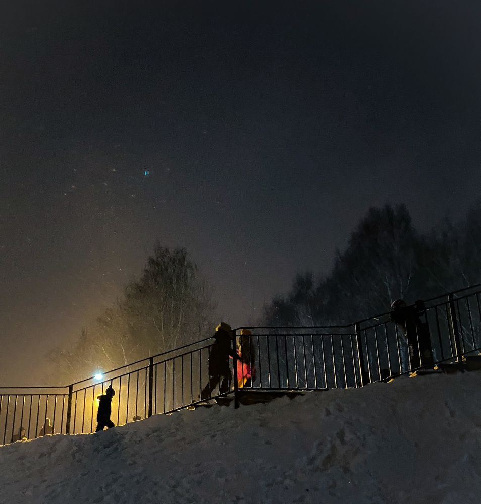 Новогодняя ночь в парке