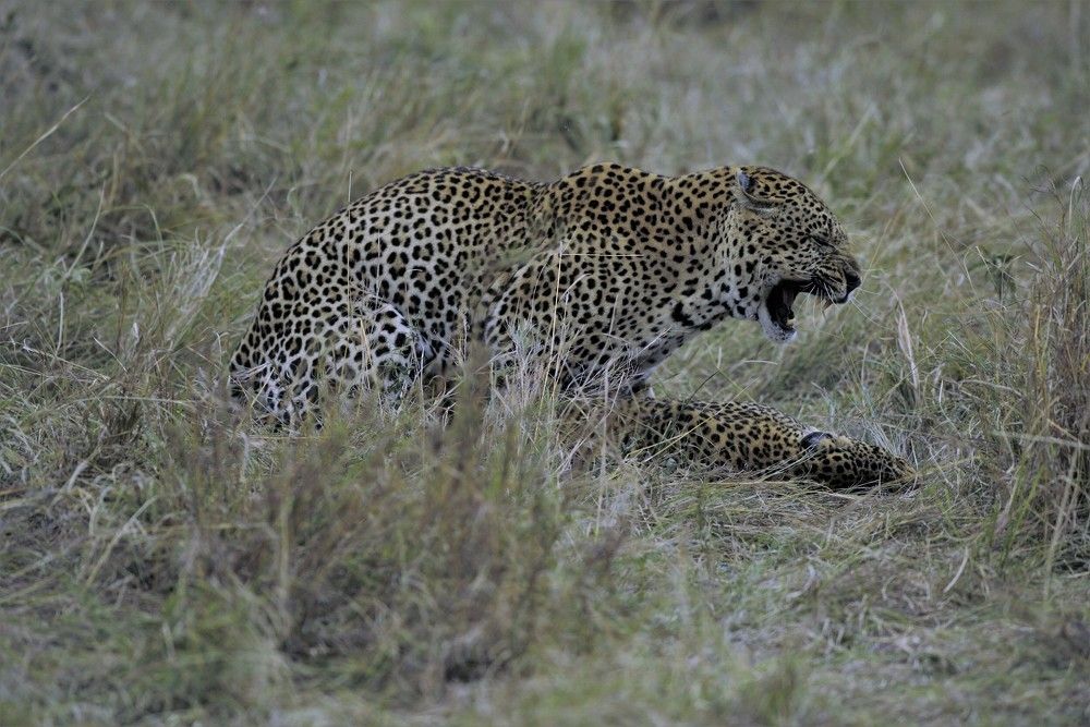 Photograph by Jimmy Cherian