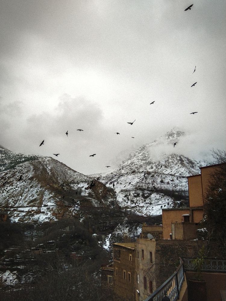 Photo #7253355
