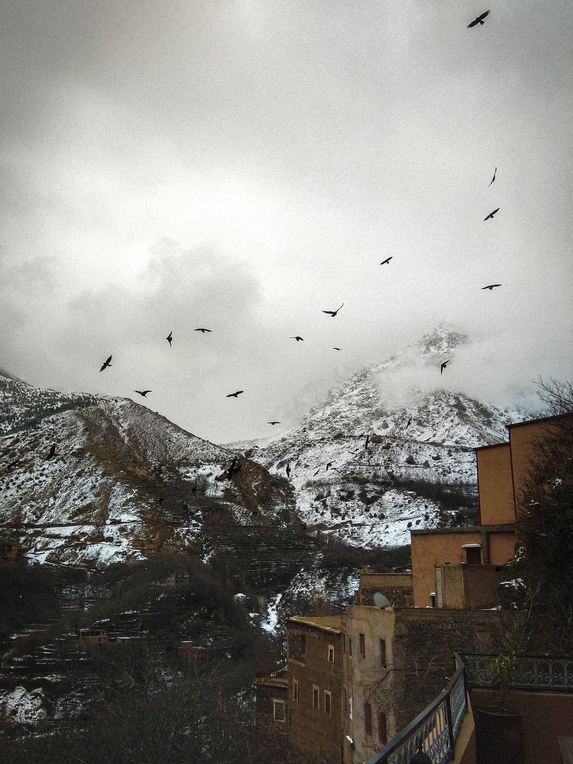 Photo #7253355