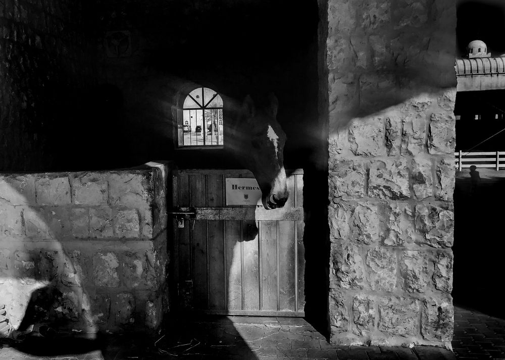 Photograph by shabu joseph