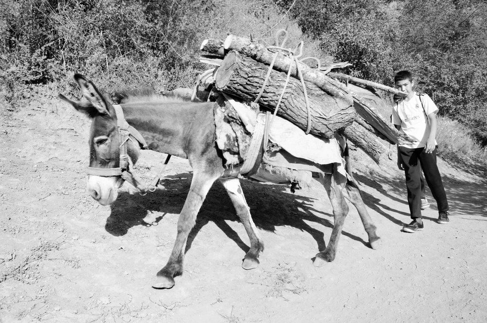 В горах Бельдерсая