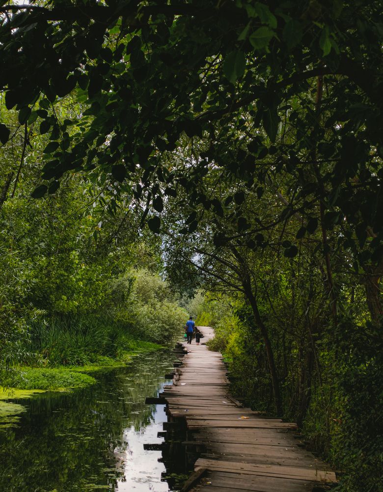 Photograph by Aabid Bhat