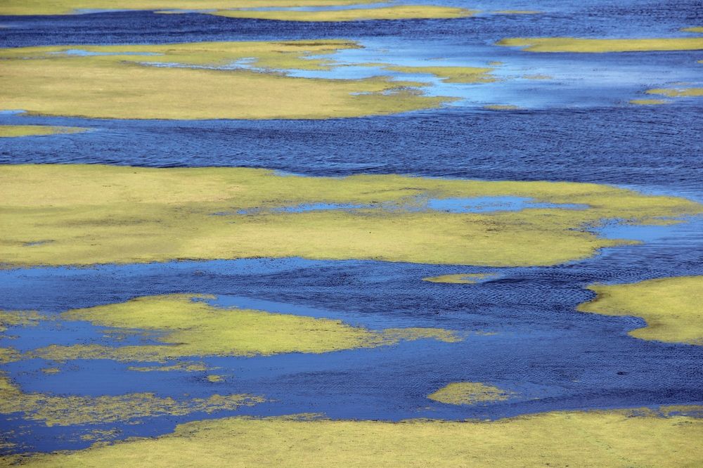 Фотография автора Любовь Саханова