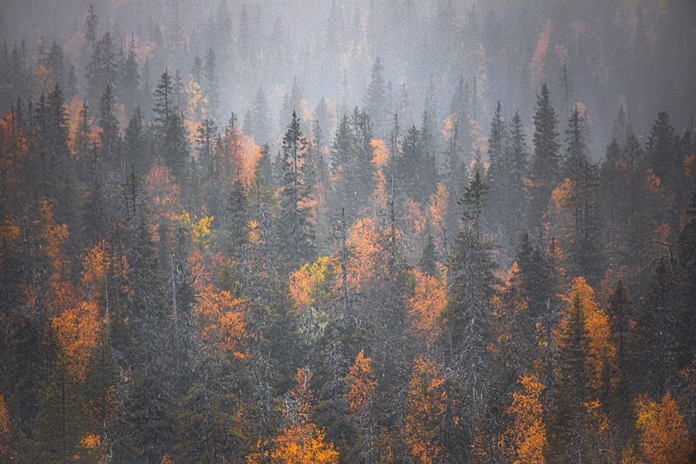 Туманность Паанаярви