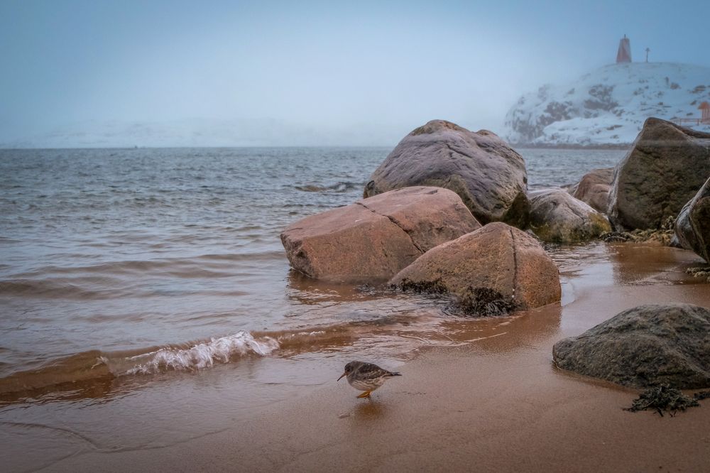 Photograph by Марина Шумакова