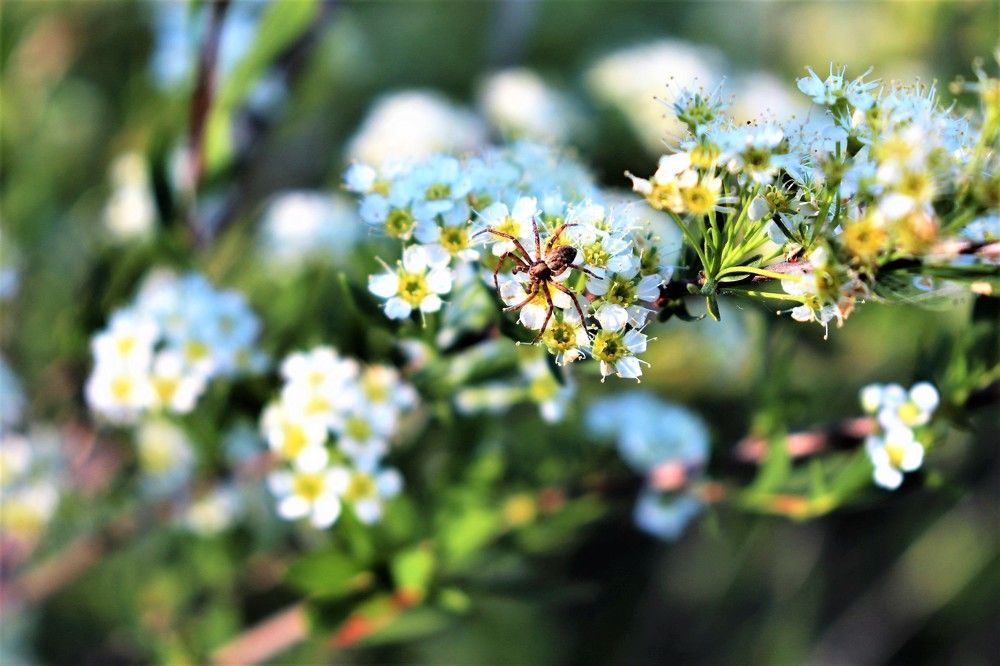 Photograph by Федоренко Элеонора