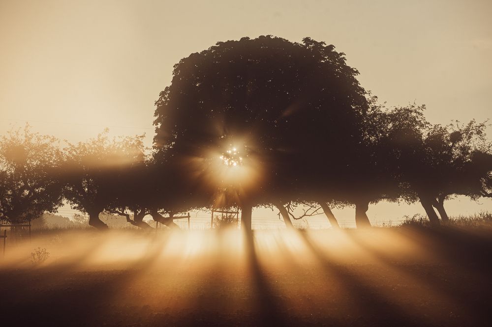 Photograph by Hanna Banaszak