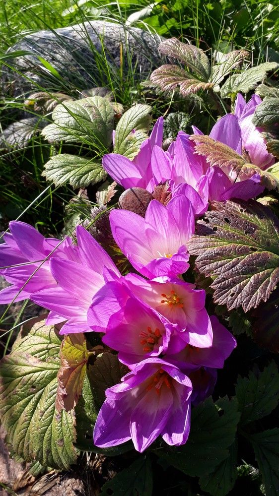 Photograph by Дмитрий Крюков