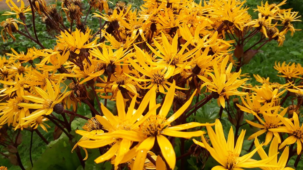 Photograph by Дмитрий Крюков