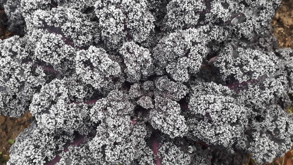 Photograph by Дмитрий Крюков