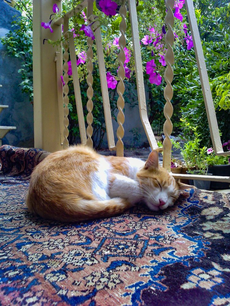 Photograph by Moein Gheysari