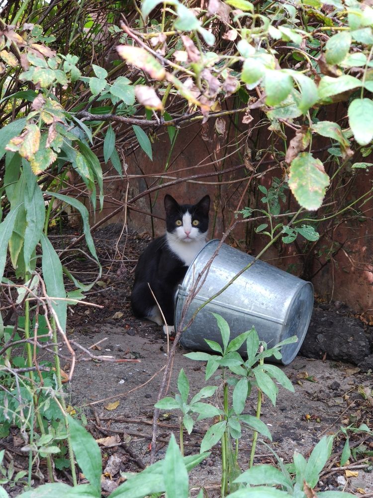 Photograph by Svetlana Stenkina