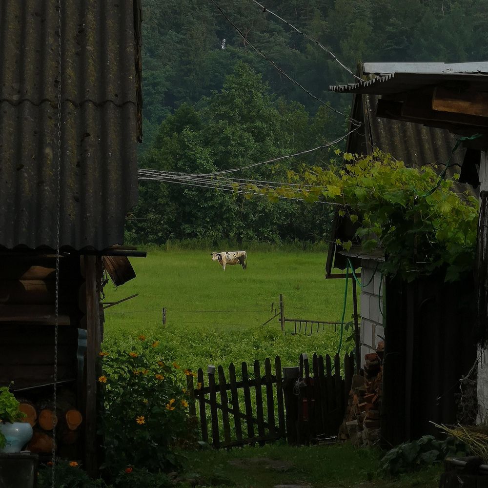 Photograph by Ксения Трофимович