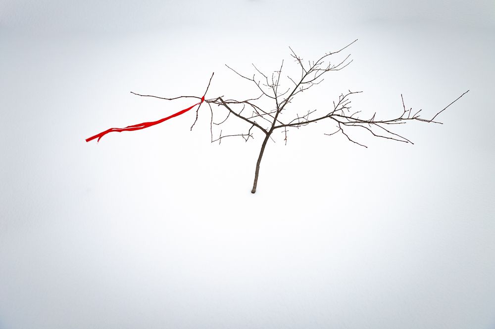 Photograph by Галина Полищук