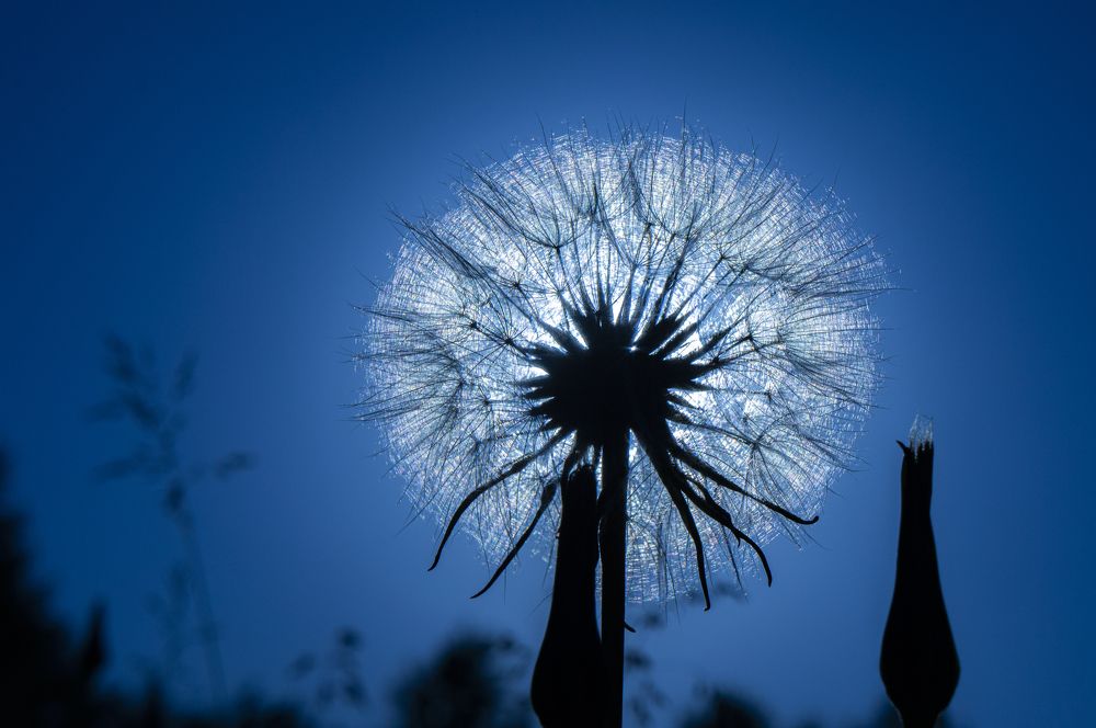 Photograph by Павел Минкевич