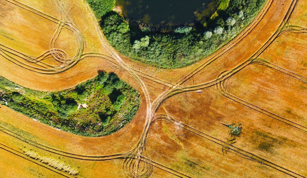 Photograph by Павел Минкевич