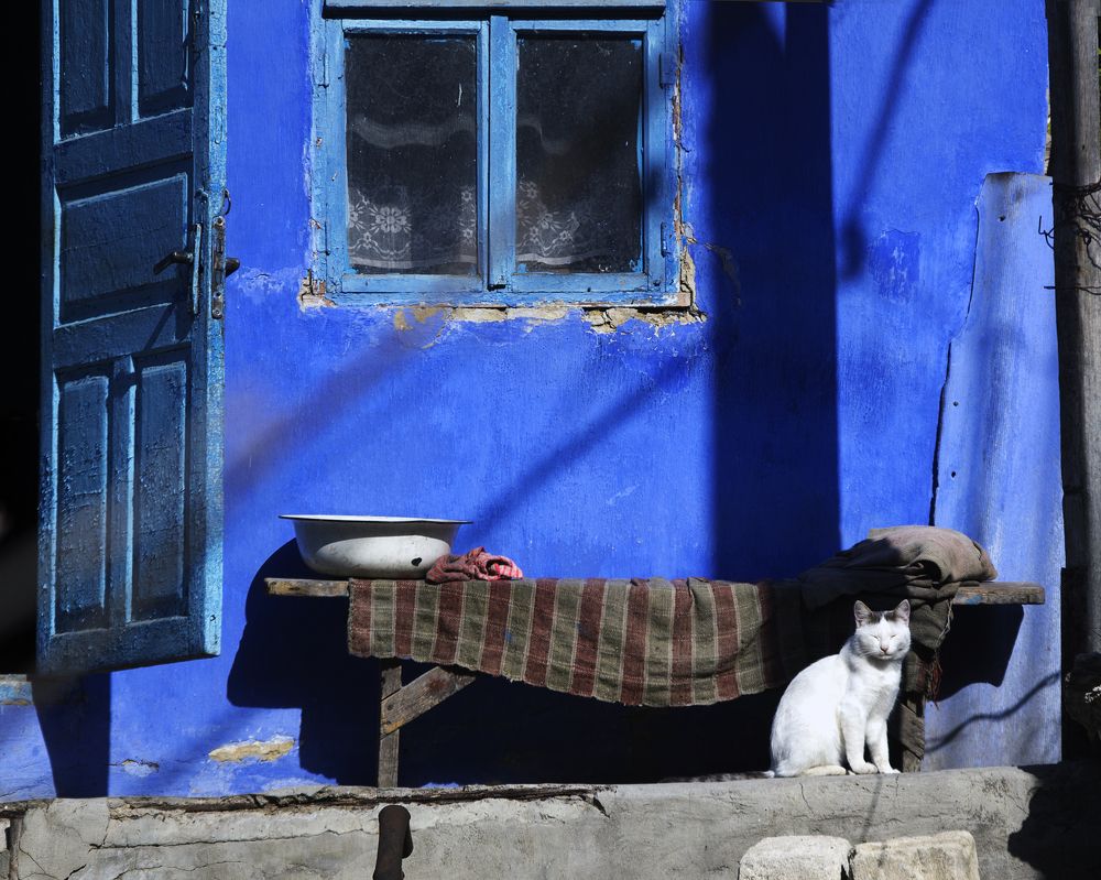 Photograph by Дмитрий Борденюк