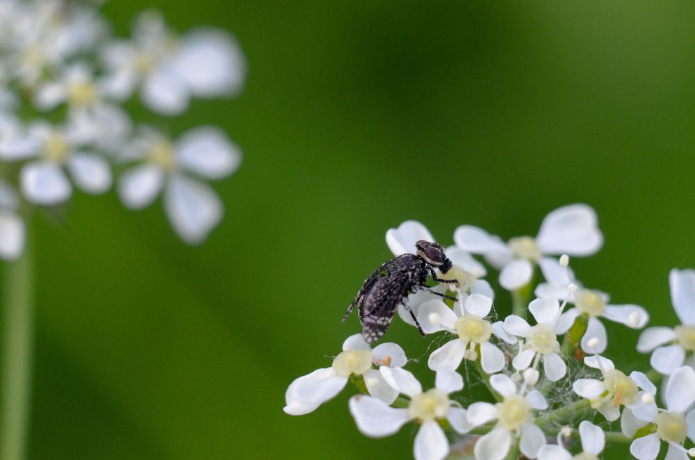 Фотография автора Вадим Писарев