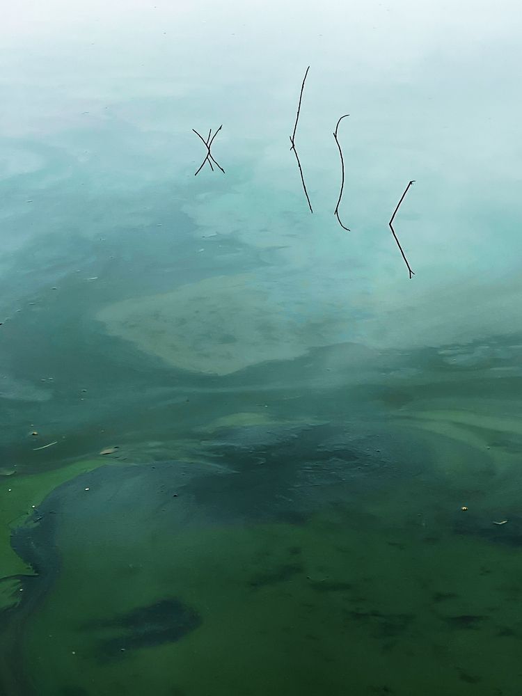 Photograph by Hieu Phan