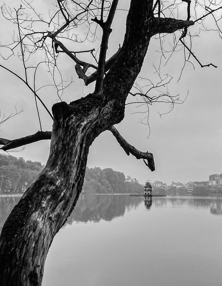 Photograph by Hieu Phan