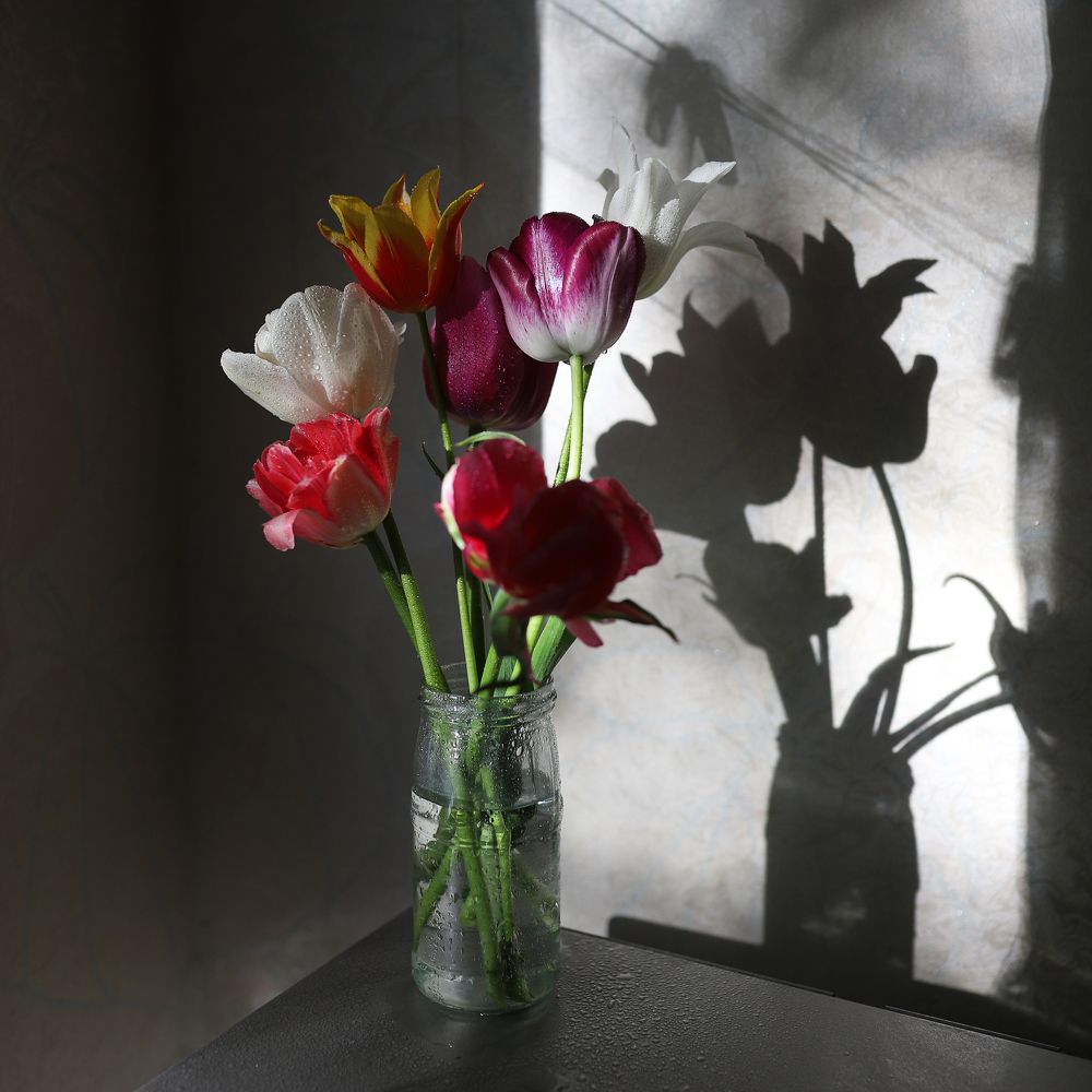 Photograph by Ксения Трофимович