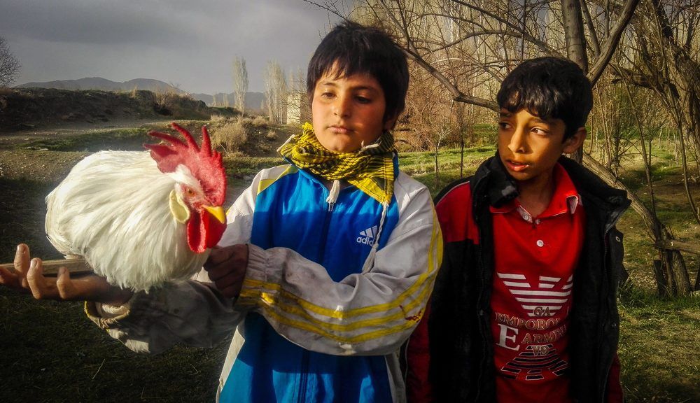 Photograph by Maryam Mirsharifi