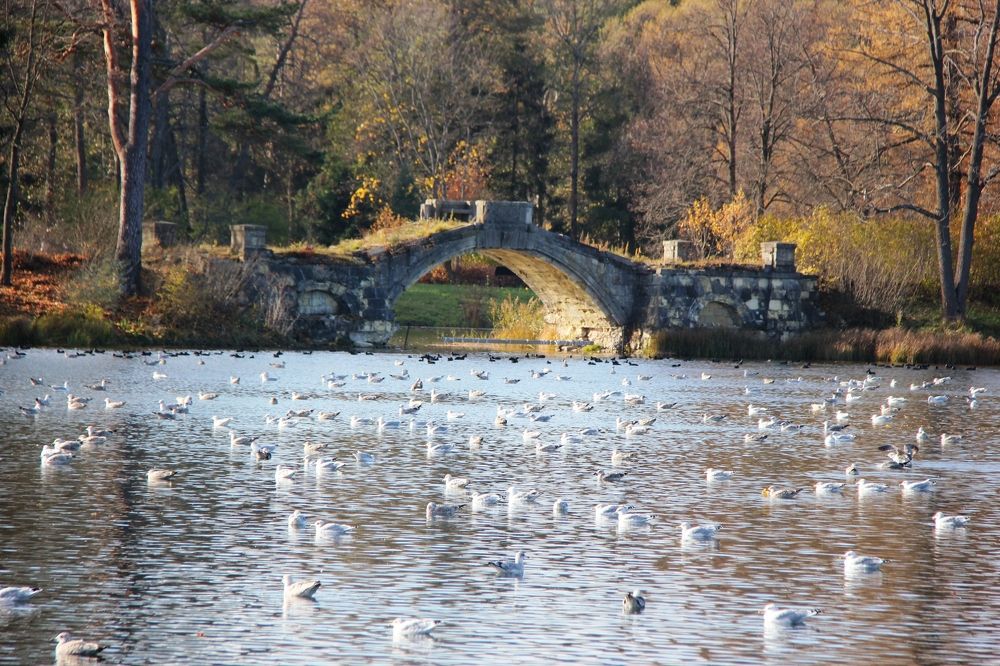 Гатчинский парк