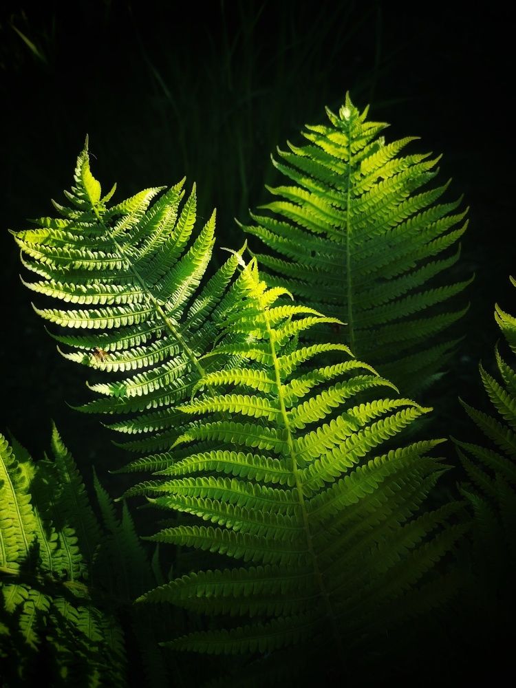 Photograph by Екатерина