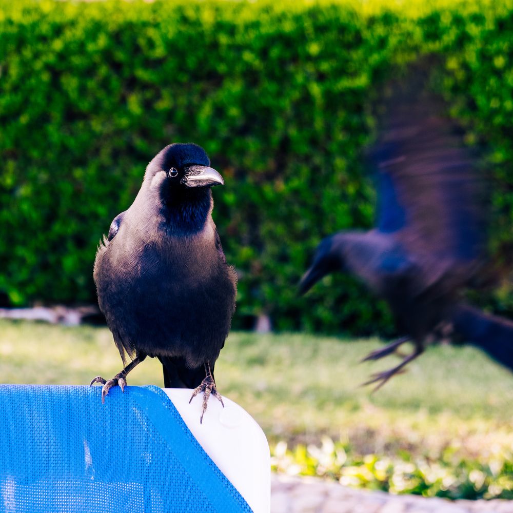 Photograph by Виталий Головенько