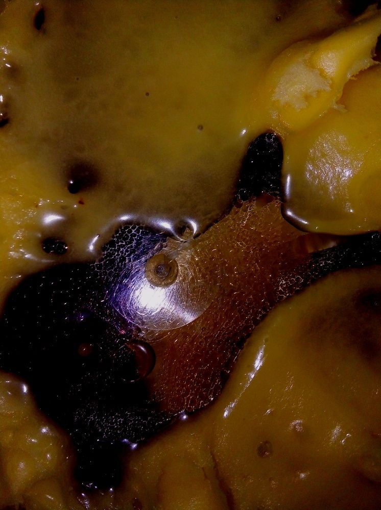 Видимость и реальность