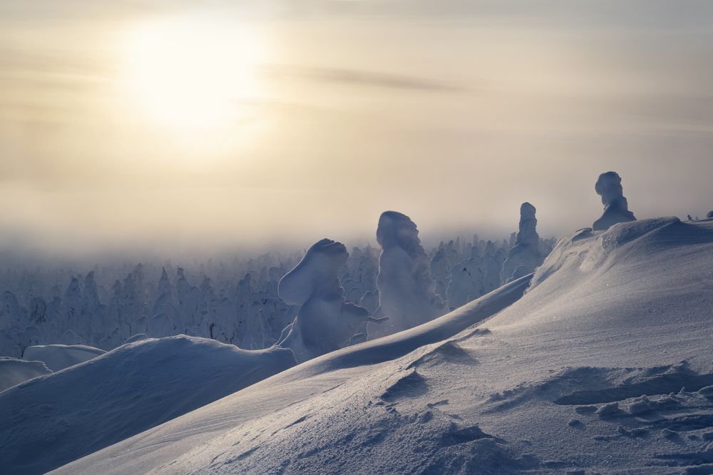 Photograph by Елена Лебедева