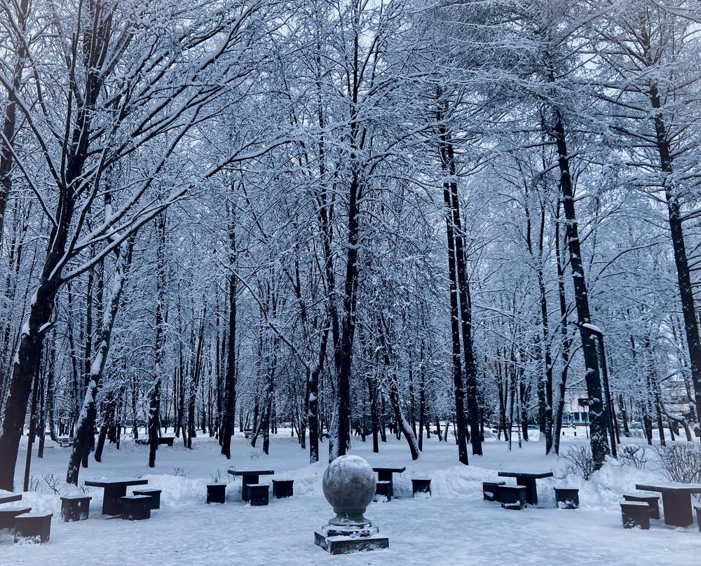 Photograph by Мария Сазонова